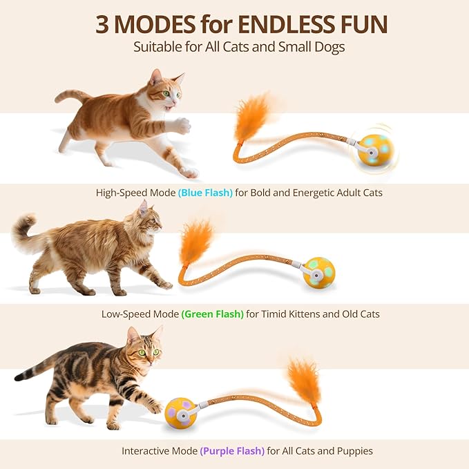 Cat Toy Ball,Interactive Cat Toy Ball with 3 Modes for Indoor Cat,The 2025 Generation Self Moving Cats Toy,Rolling Cats Toy with Feather & Bells for Bored Cats & Small dogs,Touch to Activate (Orange)-Mewly Pet