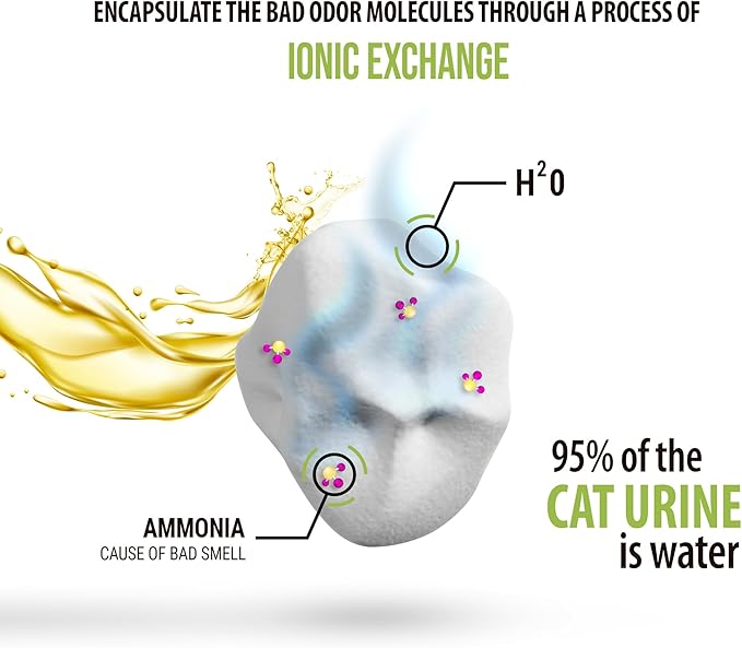 Skoon All Natural Cat Litter (3 Bags) - Original - Lightweight, Low Tracking, Non-Clumping Diatom Pebbles Absorb, Lock, and Seal Waste for Best Odor Control-Mewly Pet