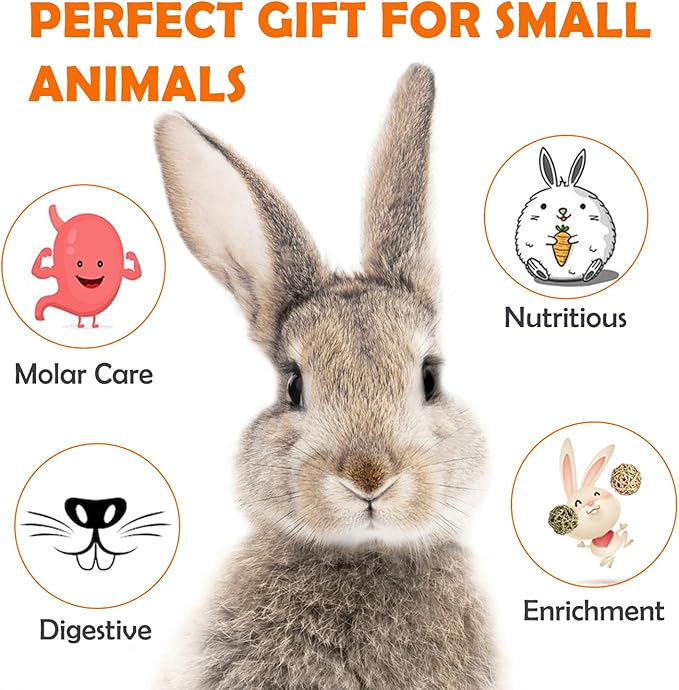 Sofier Timothy Hay Treats Rabbit Toys Bunny Toys Guinea Pig Hamster Natural Chews for Teeth Handmade Rabbit Chews and Treats Chinchilla Rat Gerbil-Mewly Pet