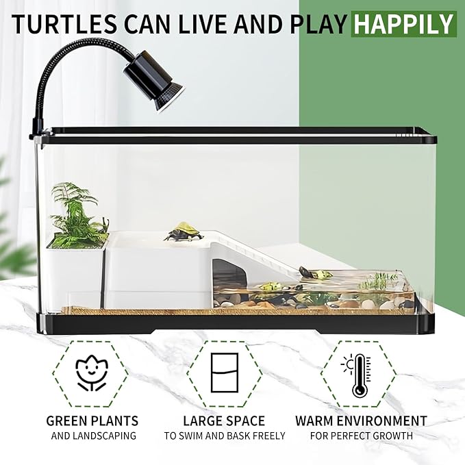 (Tank + Light + Filter + Filter Balls) Turtle Tank Kit, Turtle Tank Starter Kit,Bottom Drainage, Multi-Function Areas for Turtles, Crabs,Fishes, Amphibians,Reptiles.(15.75 x 8.64 x 8.64 Inch)-Mewly Pet