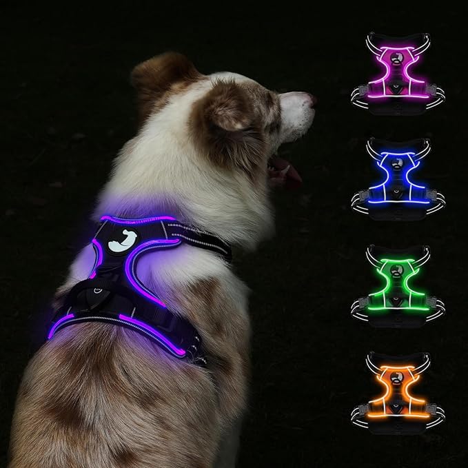Taglory Light Up Dog Harness, Rechargeable No Pull Dog Vest with 3 Lightning Modes, Reflective Dog Harness with 2 Leash Clips & 4 Adjustable Slide Strips for Large Dogs, Black-Purple, L-Mewly Pet