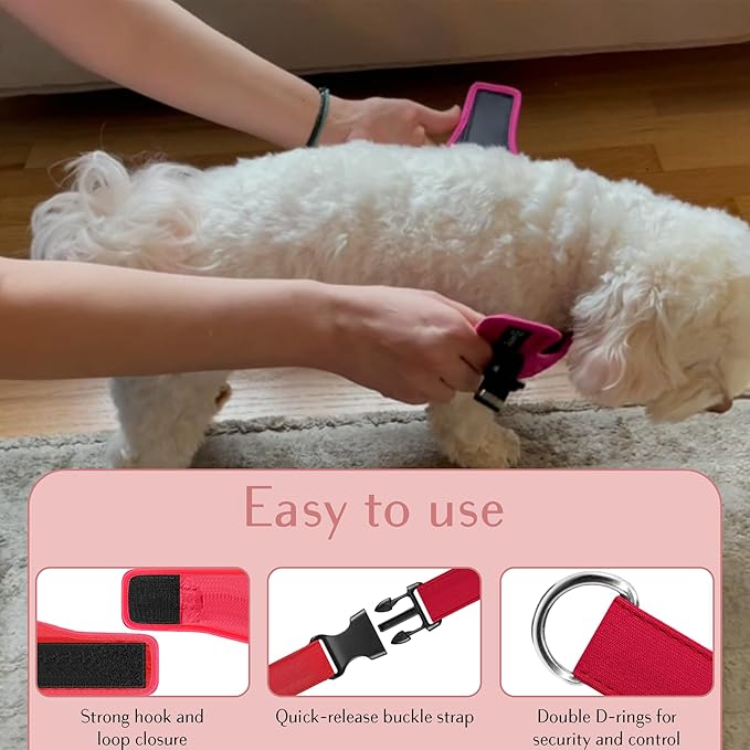 Comfort fit Step-in Dog & Puppy Harness - Comfortable All Weather Dog Vest Harness: Adjustable, Soft Padded, Easy to Put-on for Small, Medium-Sized Dogs.-Mewly Pet