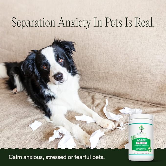 pawTree Chillax - Natural Calming Hemp Chews for Dogs and Cats - Formula to Relieve Stress and Tension; Ease Travel, Separation Anxiety and Soothe Fear - Small Soft Chews (60 Count)-Mewly Pet