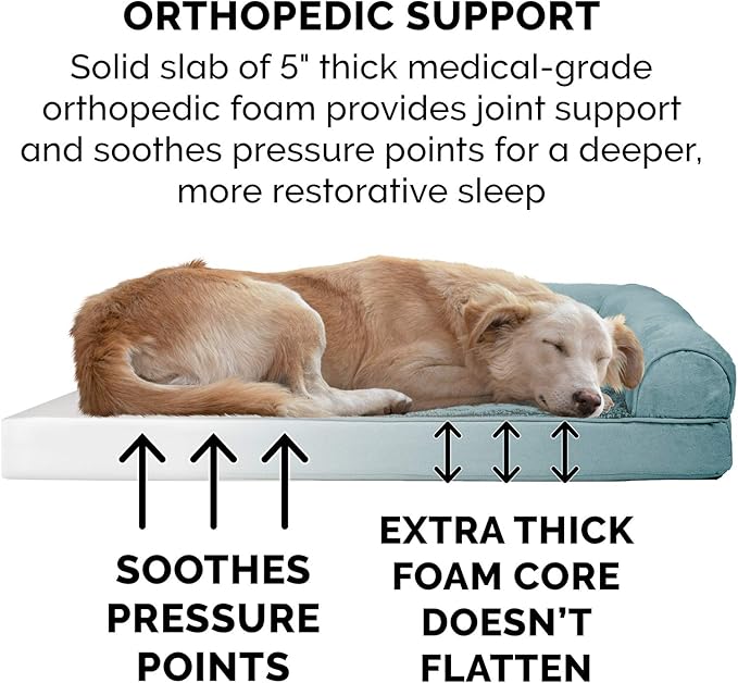 Furhaven Orthopedic Dog Bed for Large Dogs w/ Removable Bolsters & Washable Cover, For Dogs Up to 125 lbs - Plush & Suede Sofa - Deep Pool, Jumbo Plus/XXL-Mewly Pet