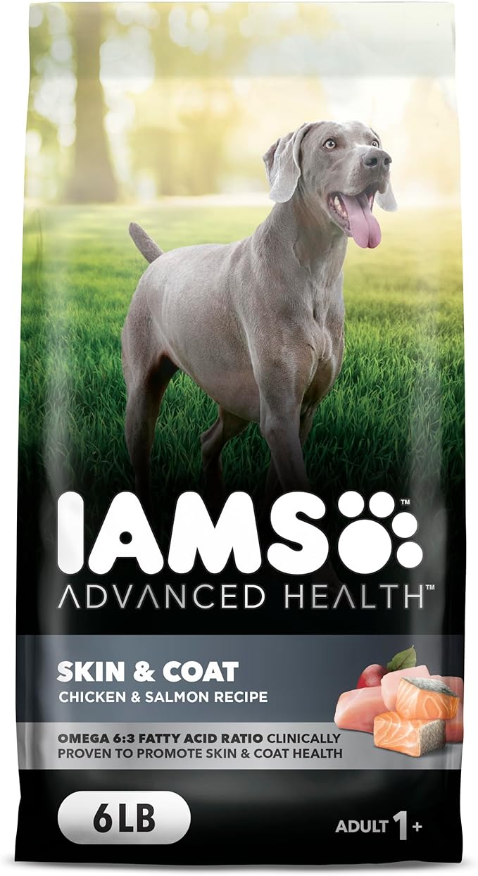 IAMS Advanced Health Skin & Coat Adult Dry Dog Food Chicken and Salmon Recipe, 6 lb. Bag-Mewly Pet