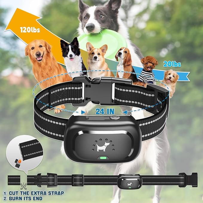 Dog Shock Collar with Remote - [2025 Newly Upgraded] Dog Training Collar for Small Medium Large Dogs, Rechargeable E Collars for Dogs Training, Waterproof Electric Collar with Shock-Lock