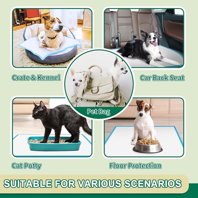 IMMCUTE Puppy Pads 22"x23" 100 Count | 6-Layer Leak-Proof & Super Absorbent Dog Training Pads | Disposable Potty Pads for Puppies, Dogs, Cats & Rabbits | Blue & White-Mewly Pet