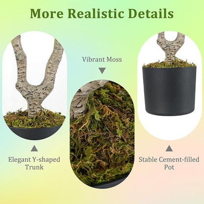 GOFLAME 3FT Artificial Camellia Tree, Faux Camellia Plant with Orange Flowers, Solid Wood Trunk, Realistic Moss, Greenery Potted Decoration Tree for Indoor Outdoor Home Porch Front Door