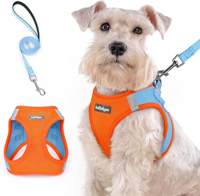 rabbitgoo Dog Harness Medium Sized and Leash Set, Step in Soft Light Puppy Vest, Breathable Mesh Pet Harness, Reflective for Safe Easy Walking, Blue & Orange XXL-Mewly Pet
