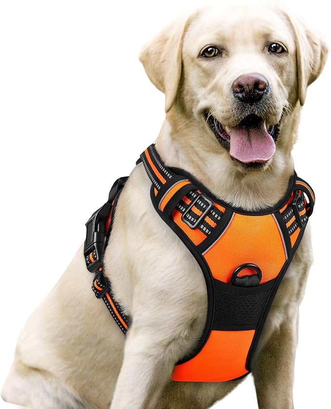 rabbitgoo Dog Harness No Pull with 2 Leash Clips, Adjustable Soft Padded, Reflective Oxford No Choke Pet Vest with Easy Control Handle for Large Dogs,Orange,L-Mewly Pet