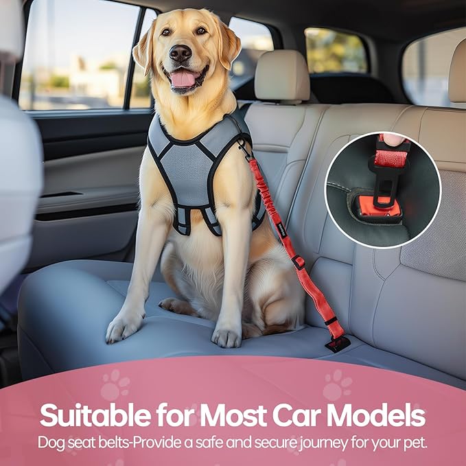 3 Pack Thickened Dog Seat Belt Adjustable Dog Car Seatbelts for Vehicle Nylon Pet Safety Seat Belt with Elastic Bungee Buffer Durable Car Harness for Dogs,Red-Mewly Pet