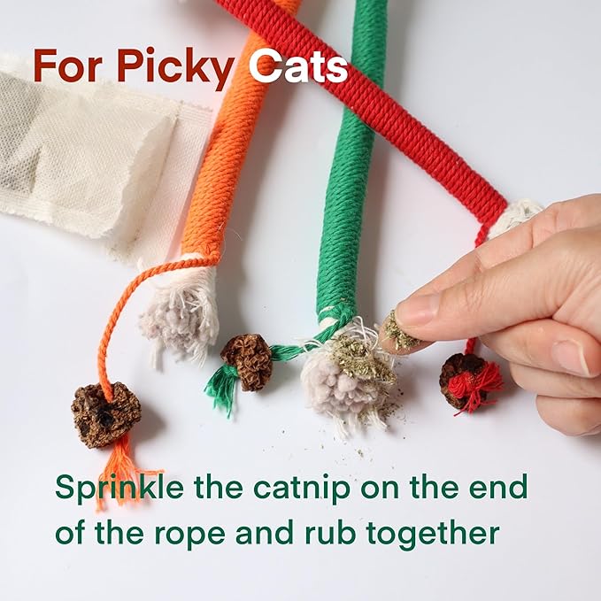 Kitten Toys, Cat Chew Toy for Indoor Cats, Catnip Toys for Teeth Cleaning, Interactive Cat Nip Teething Rope Toys for Cats Kitty, 3 Pack (Include 1 Pack of Catnip)-Mewly Pet