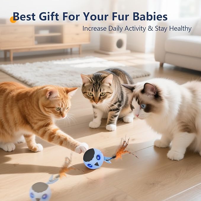 ORSDA Cat Toys, Interactive Cat Toy for Indoor Cats, Automatic Moving Ball Bird for Indoor Adult Cats Kitten Toys All Breeds, Fast Rolling Motion Activated Chirping Stimulating Light, 2 Feather Refill-Mewly Pet