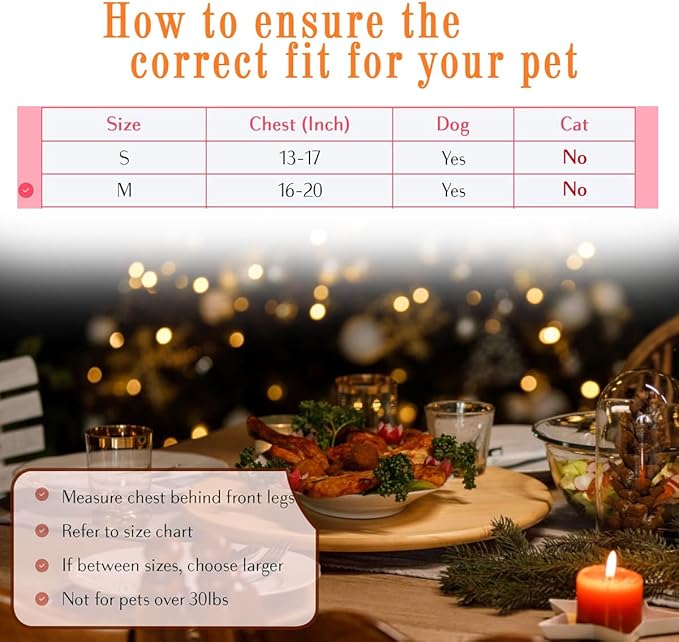 Comfort Fit Dog Harness No Pull with Adjustable Buckles Soft Padded Reflective Choke Step-in Pet Vest with Easy Control Handle for Small Medium Large Dogs & Puppies for Walking Running Training-Mewly Pet