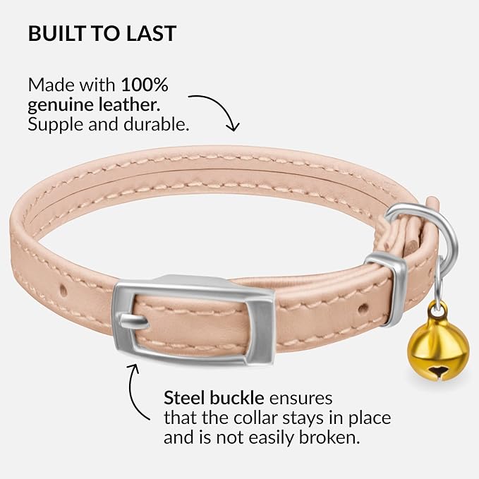CollarDirect Leather Cat Collar with Bell - Kitten Small and Big Cat Collar for Boy Cats, Girl Cats with Safety Elastic Strap (Neck Fit 6"-7", Beige)-Mewly Pet