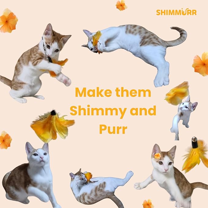 Cat Feather Wand Toy - 38" Retractable Cat Wand Toy with Orange Feather Flower Teaser Refill for Indoor Cats and Interactive Play-Mewly Pet