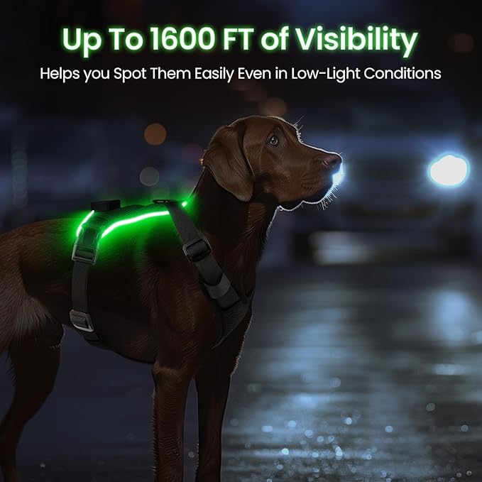 Light Up Dog Harness,Reflective Pet Harness Rechargeable,Led Dog Vest Harness for Night Walking,Adjustable Dog Safety Vest for Small Medium Large Dogs-No Pull,Black,M-Mewly Pet