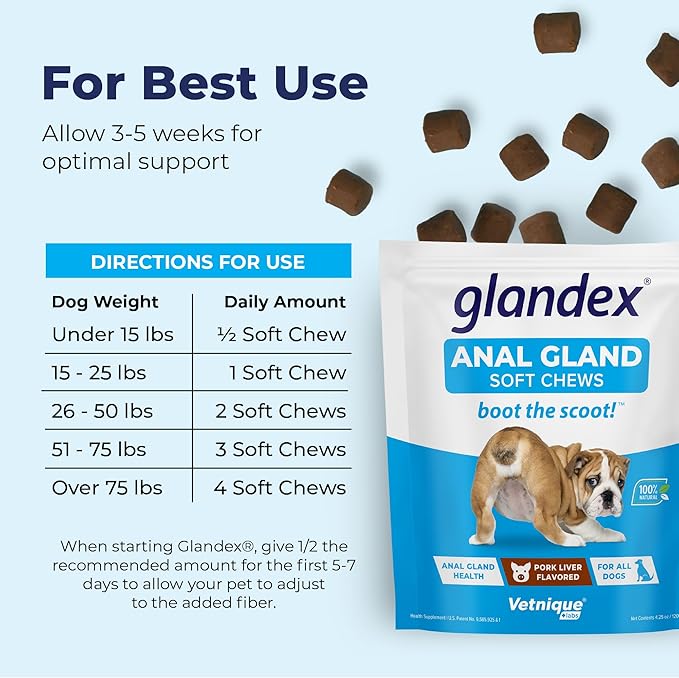Vetnique Labs Glandex Anal Gland Soft Chew Treats with Pumpkin for Dogs Digestive Enzymes, Probiotics Fiber Supplement for Dogs Boot The Scoot (Bacon/Pork Chews, 30 Count)-Mewly Pet