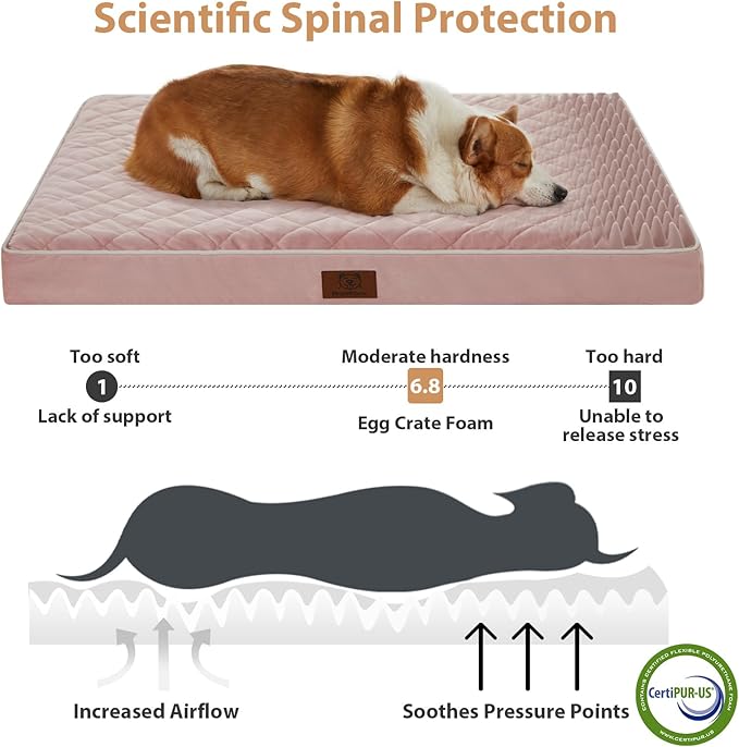 WNPETHOME Orthopedic Dog Bed for Crate, Waterproof Extra Large Dogs Bed with Removable Washable Cover, Multi-Needle Quilting Dogs Crate Beds-Mewly Pet