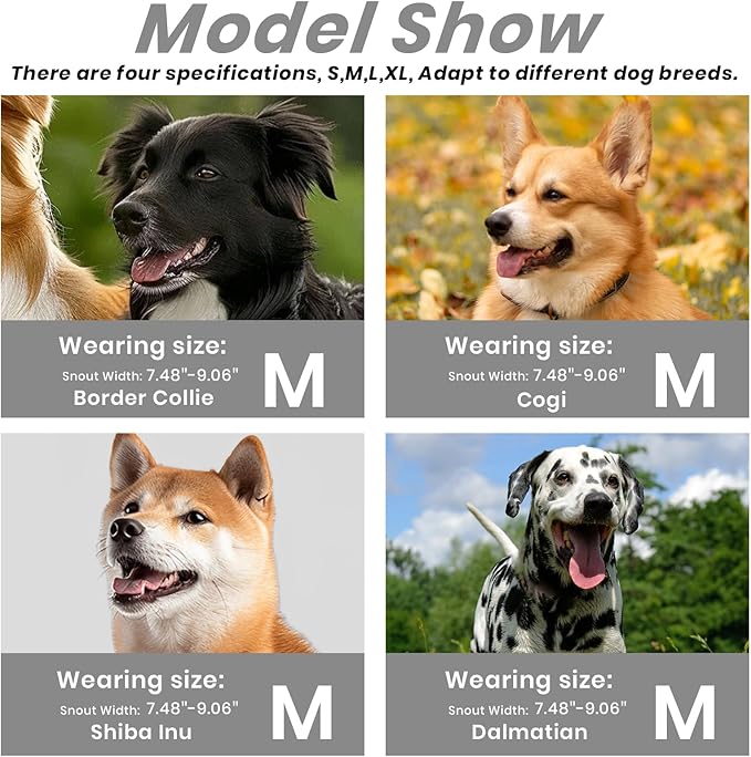 Dog Muzzle, Basket Muzzle for Small Medium Large Dogs, Anti-Biting and Chewing, Lightweight & Sturdy Cage Design, Allows Panting & Drinking, Ideal for Grooming & Training(Black Size M)-Mewly Pet