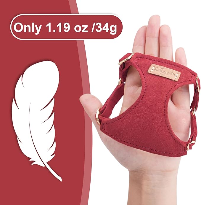 Puppytie No Pull Small Dog Harness with Multifunction Dog Leash,Lightweight Soft Adjustable No Choke Escape Proof Pet Harness Vest Pet Harness Vest,red Hawthorn,S-Mewly Pet