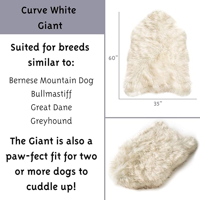 PupRug Orthopedic Dog Bed for Large Dogs with Fluffy Soft Faux Fur and Memory Foam for Joint Pain Relief, Machine Washable and Waterproof Couch Bed, White, Extra Large-Mewly Pet
