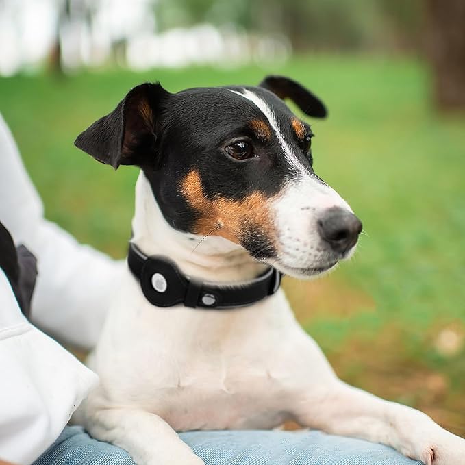 OOPSDOGGY Reflective Geniune Leather Airtag Dog Collar Soft Padded Collars for Small Medium Large Breed Dogs Puppy, 4 Sizes, 7 Colors (Black, Small, 9"-12")-Mewly Pet