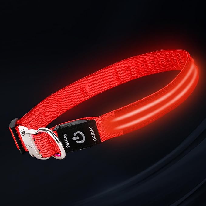 LED Dog Collar with Metal Buckle - USB Rechargeable Glow Collar for Dogs, Waterproof Light Up Dog Collar w/Reflective Strips - Adjustable Night Safety Collars by PetIsay(Red,Medium)-Mewly Pet