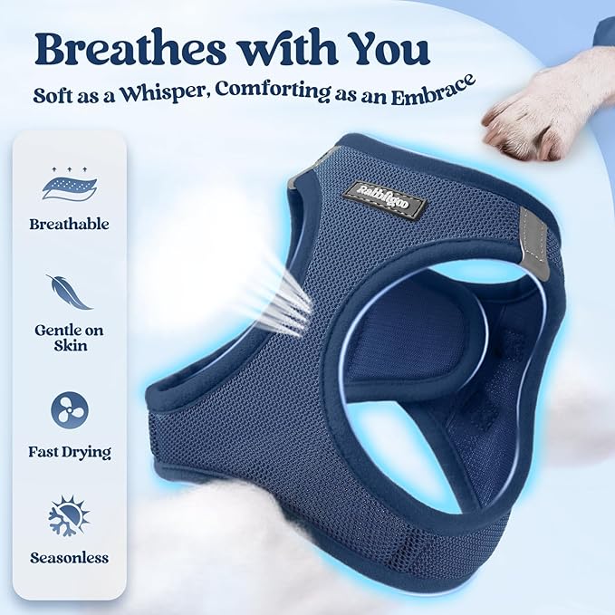 rabbitgoo Dog Harness Small Medium Sized and Leash Set, Step in Soft Light Puppy Vest, Breathable Mesh Pet Harness, Reflective for Safe Outdoor Walking, Navy Blue L-Mewly Pet