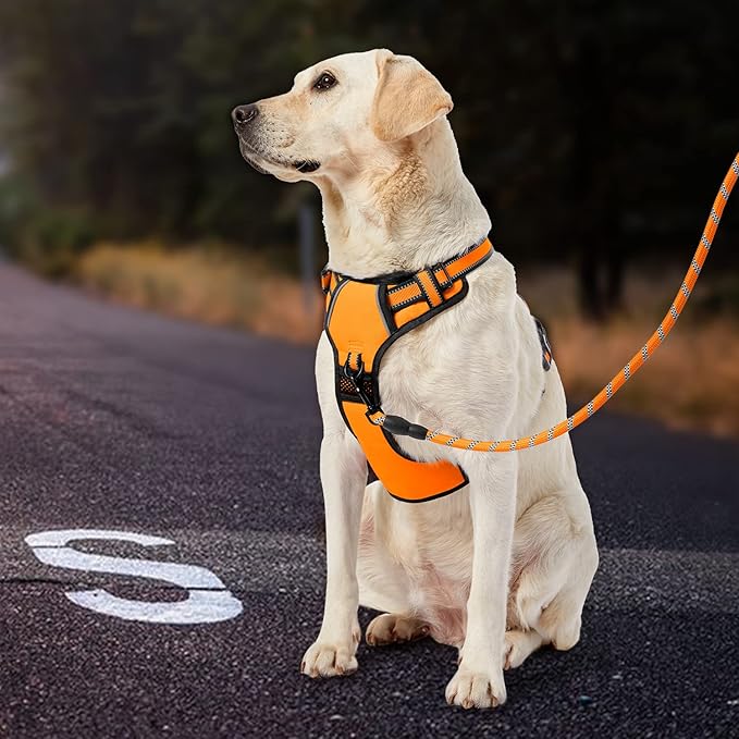 IVY&LANE No Pull Dog Harness for Large Dogs, Dog Vest Harness with Leash, Safety Belt and Storage Strap, Fully Adjustable Harness, 360° Reflective Strip, Soft Handle (Orange,X-Large)-Mewly Pet