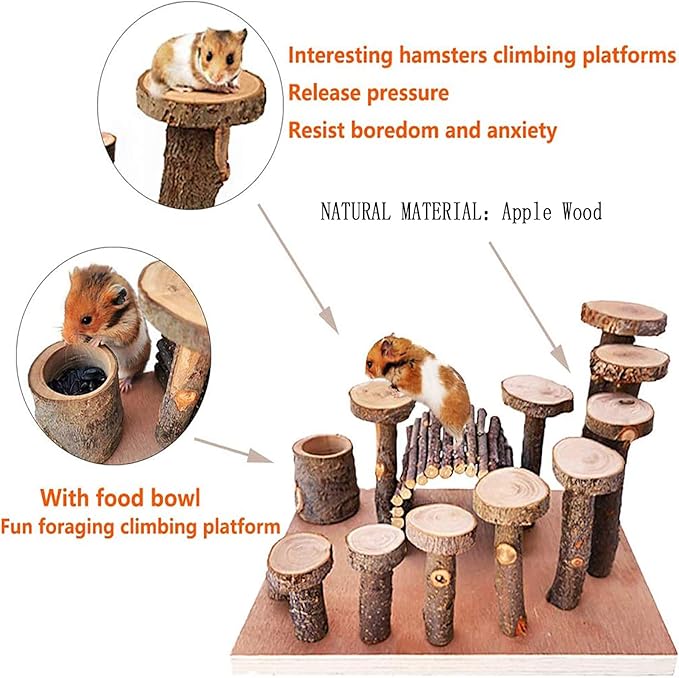 Wooden Chinchilla Platform Toy - Activity Playground Stand Ladder Hideout Set Bridge Ramps Chew Toys for Mouse, Dwarf Hamster, Gerbil, Rat, Sugar Glider, Syrian Hamster, Small Animals-Mewly Pet