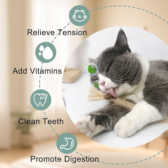 7-in-1 Interactive Cat Toys for Indoor Cats with Washable Adhesive Suction Cup, Hanging Cat Toys, Silvervine Stick and Sisal Chew Rope Catnip Teething Toy for Bored Kitten-Mewly Pet