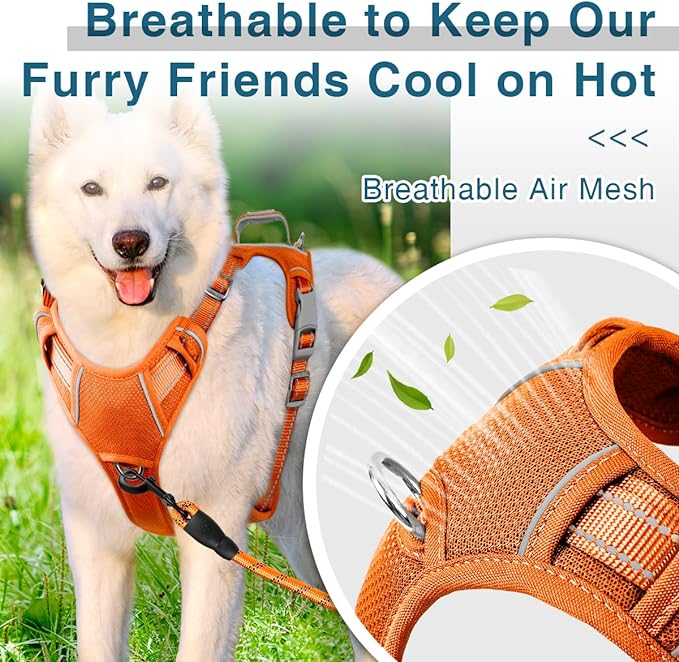 BARKBAY Dog Harness No Pull with ID Tag Pocket - Heavy Duty, Reflective, Easy Control for Large Dogs(Orange,L)-Mewly Pet