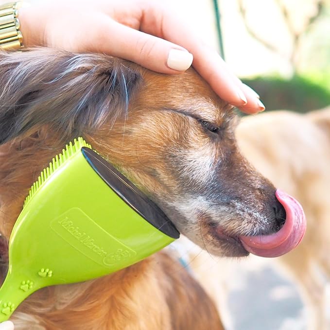 Michel Mercier Pet Detangling Brush - Fine or Normal Fur - Cat & Dog Brush for Grooming, Detangling & Deshedding - 1 pc-Mewly Pet