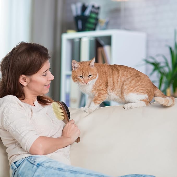 Takavu Double-Sided Boar Bristle Cat Brush - Natural Grooming Tool for Gentle Cleaning, Shine & Reduced Loose Hair - Wood Handle Pet Brush-Mewly Pet