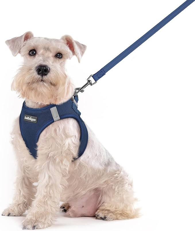 rabbitgoo Dog Harness Small Sized and Leash Set, Step in Soft Light Puppy Vest, Breathable Mesh Pet Harness, Reflective for Outdoor Safe Walking, Navy Blue XXL-Mewly Pet