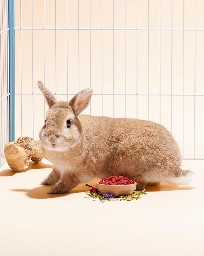 Niteangel Goji Berries Rabbits Snack Treats: 12pcs Natural Chew Toys for Bunny Chinchilla Guinea Pigs and Other Small Animals-Mewly Pet