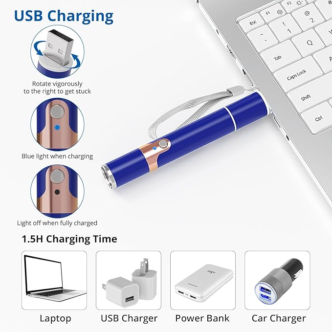 TBTeek Cat Toys for Indoor Cats, 2 Pieces, Rechargeable, 7 Adjustable Patterns, Interactive Kitten Pet Dog Red Dot Chase Light Toy for Cats Fun Playing Exercise（Blue）-Mewly Pet