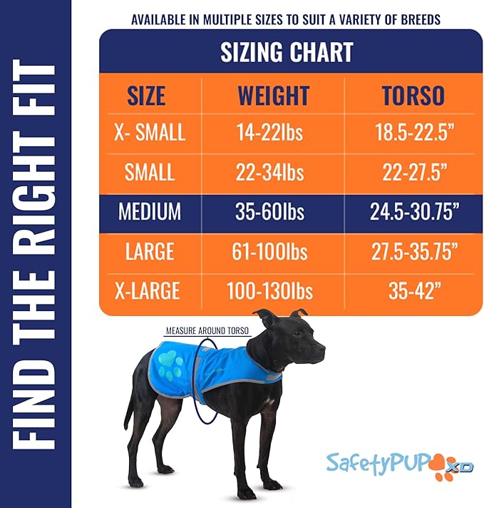 Dog Reflective Vest – Hi-Vis Fluorescent Visibility That Helps to Safeguard Your Pet On/Off Leash in Urban & Rural Areas (Blue, Medium)-Mewly Pet
