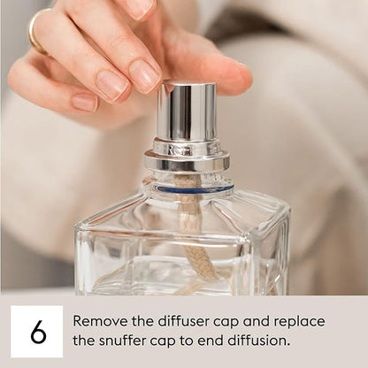 Mystery Patchouli | Lampe Berger Fragrance Refill by Maison Berger | for Home Fragrance Oil Diffuser | Purifying and perfuming Your Home | 16.9 Fluid Ounces - 500 milliliters | Made in France