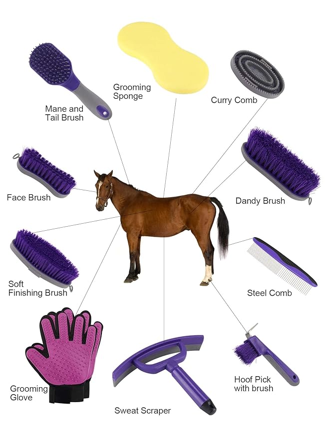 Horse Grooming Kit (12-Piece): Brushes, Storage Bag, Sweat Scraper, Mane Comb, Grooming Gloves - Purple Horse Gifts for Girls-Mewly Pet