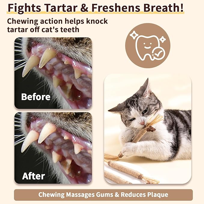 6 Pack Silvervine Cat Chew Toys, Natural Dental Sticks for Indoor Cats, Kittens Teeth Cleaning, Catnip Alternative, Interactive Play, Yellow-Mewly Pet