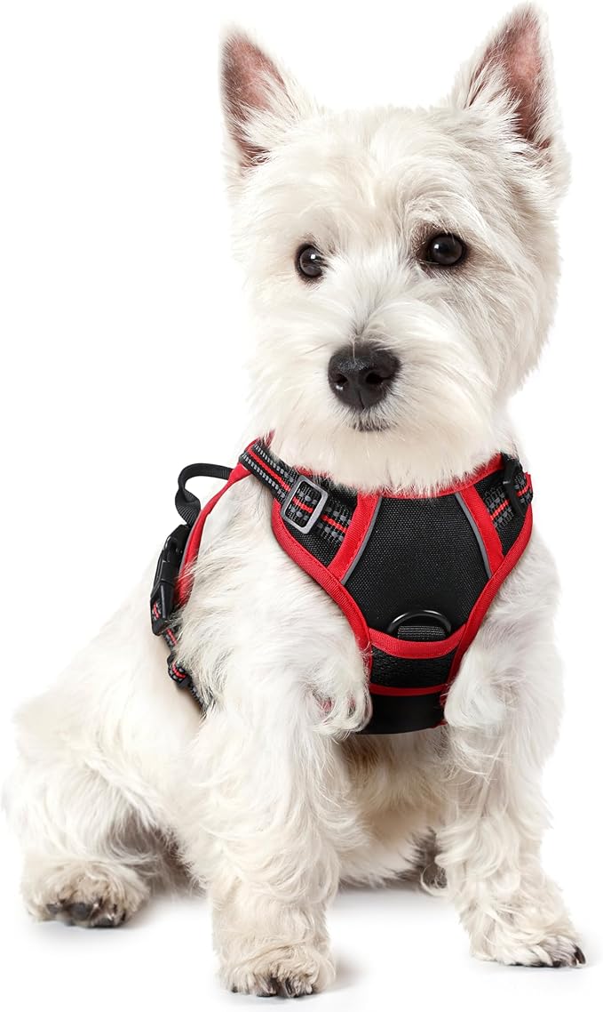 rabbitgoo Dog Harness No Pull with 2 Leash Clips, Adjustable Soft Padded, Reflective Oxford No Choke Pet Vest with Easy Control Handle for Puppy, Black & Red, XS-Mewly Pet