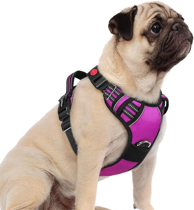 rabbitgoo Dog Harness Small Sized, No Pull Dog Vest with 3 Buckles, Adjustable Soft Padded Pet Harness with Easy Control Handle and Reflective Strips, Purple, S-Mewly Pet