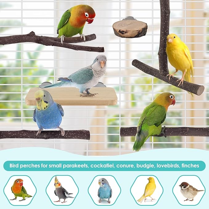 Bird Perches, 6 Pcs Natural Wood Parrot Perch Stand Chew Toys, Hanging Multi-Branch Parrot Perch Platform Swing Toy Cage Accessories for Small Parakeets, Budgies, Lovebirds, Canaries, Finches-Mewly Pet