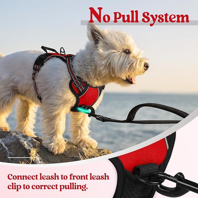 rabbitgoo Dog Harness No Pull with 2 Leash Clips, Adjustable Soft Padded, Reflective Oxford No Choke Pet Vest with Easy Control Handle for Puppy, Red,XS-Mewly Pet
