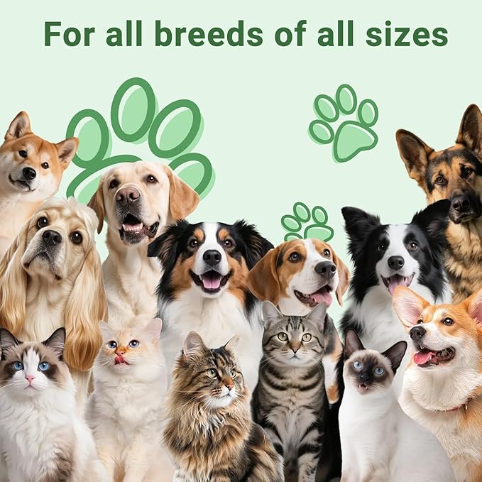 Kennel Cough Treatment Drop for Dogs &Cats,Help Wet and Dry Cough Relief,Seasonal Throat Discomfort, Natural Herbal Cough Liquid with Licorice,Ginger for All Breeds & Sizes,2 fl oz Bacon Flavor-Mewly Pet