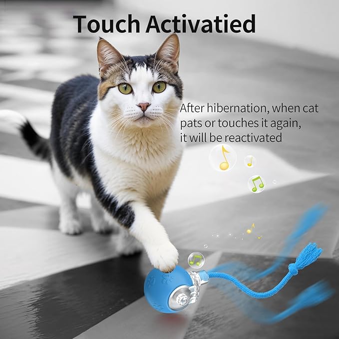 Interactive Cat Toys, Automatic Moving Cat Toys for Bored Indoor Adult Cats, Fast Rolling, Chirping & Motion-Activated Kitty Toys, Fun Gift for Cats with Speedy Tail 2.0, USB Rechargeable, Blue-Mewly Pet