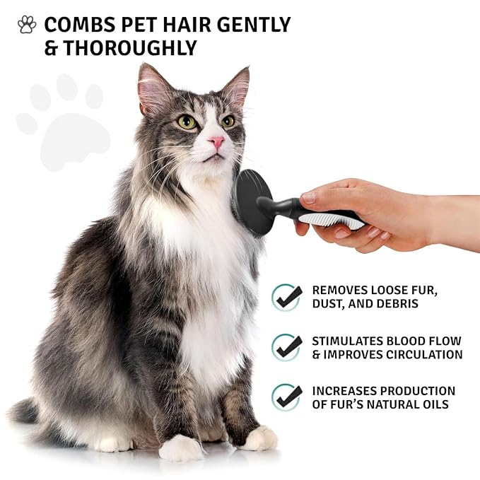 Round Bristle Pet Brush for Dogs and Cats - Soft Dog Brush for Grooming Short or Long Hair - Gentle Tool for Sensitive Skin Removes Dander, Dirt, and Detangles (Black)-Mewly Pet