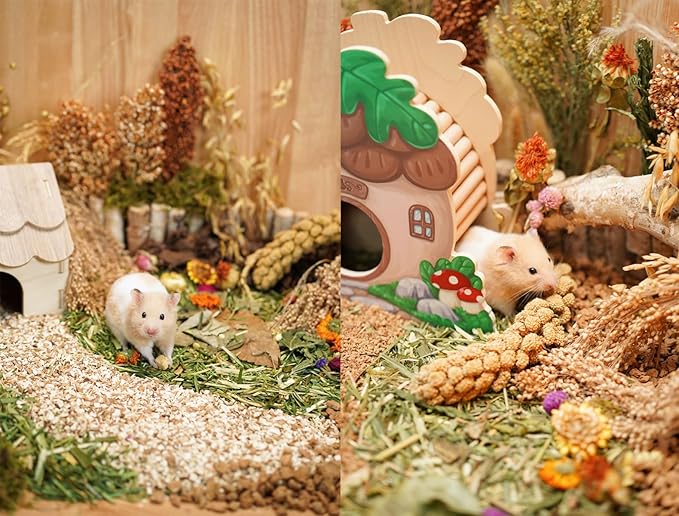 Natural Hamster Bedding - Flowers, Herbs, Sprays, Treat Cereal Grain for Cage Habitat Enclosure Decor - Hamster Chews for Dwarf Syrian Gerbils, Mice, Rat Forage - Pet Accessories-Mewly Pet